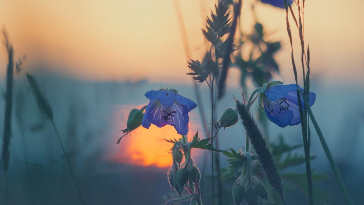 Horoscop zilnic, 24 august. Berbecii sunt sensibili la poveștile celor din jur