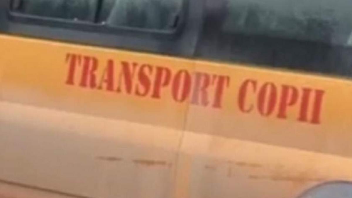 STB înființează 4 linii de autobuze şcolare în sectorul 3. În ce perioade vor circula
