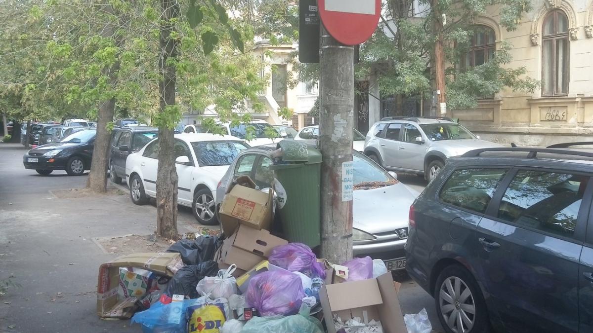 Războiul gunoaielor în Sectorul 5