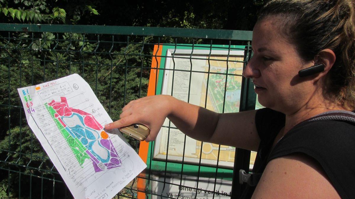 Cum se aleg copacii cu card de sănătate