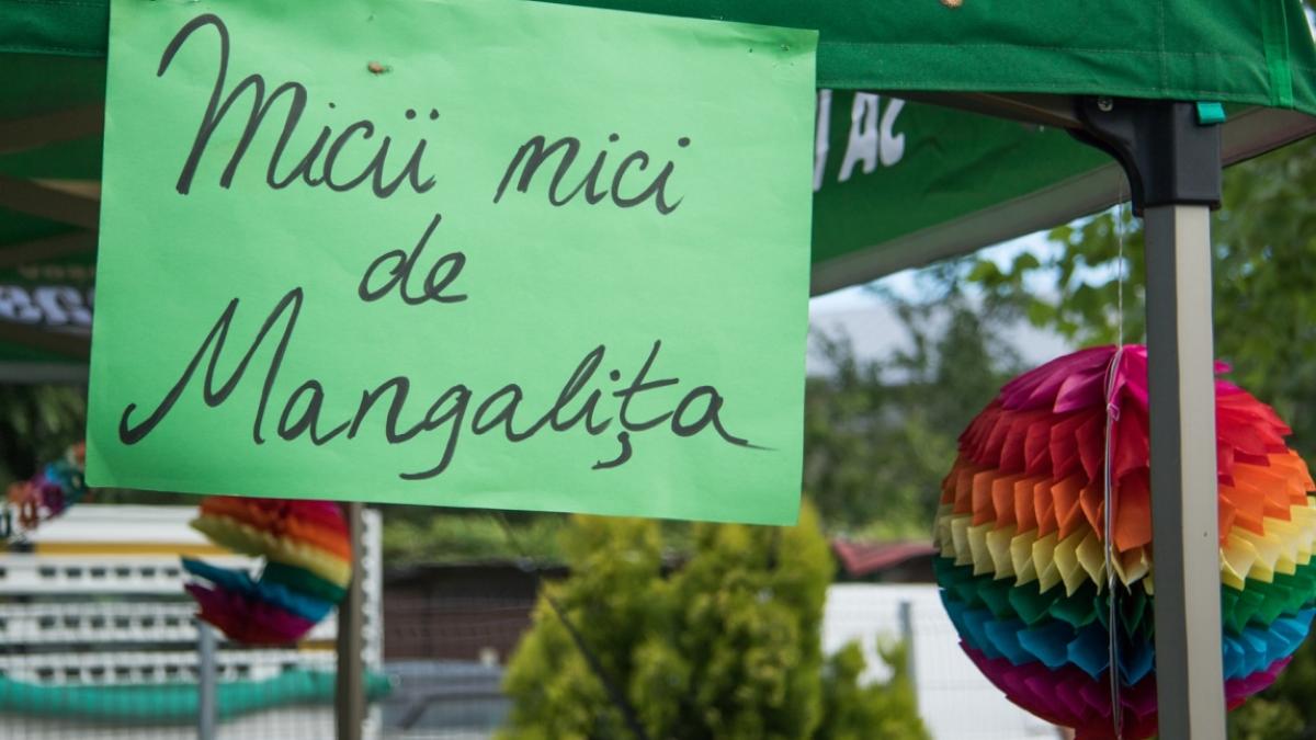 Micii și sucul de mere din Bolintin Vale,  printre preferatele actorilor din serialul Mangalița