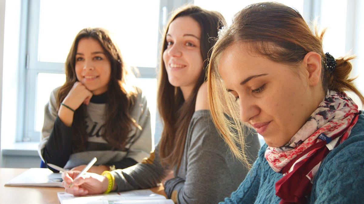 Elevii concep un formular contra abuzurilor în şcoli