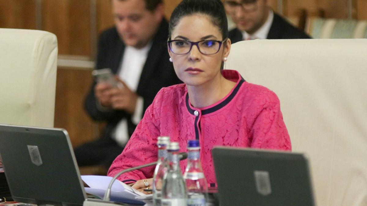 Ministrul Ana Birchall participă la Consiliul JAI, la Luxemburg