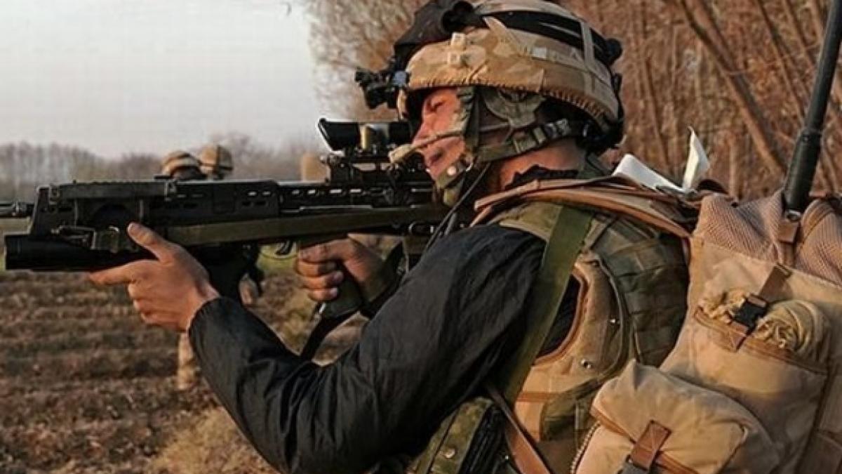Germania interzice vânzările de arme către Ankara