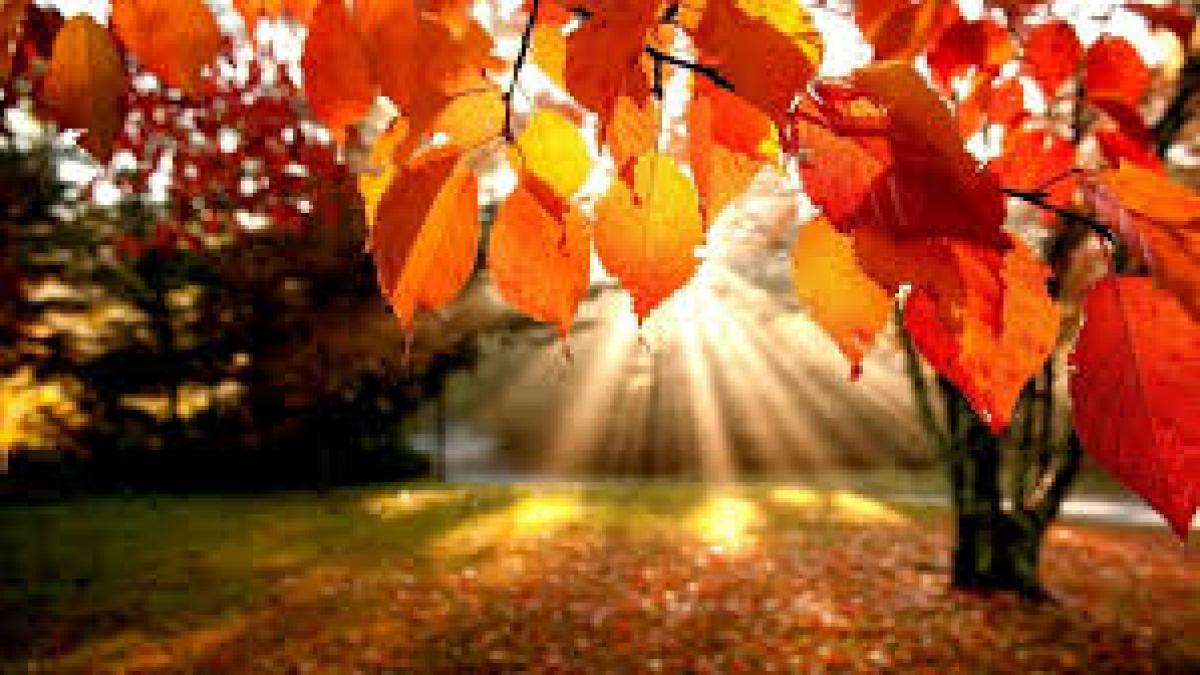 Meteorologii avertizează: Ultimul weekend cu temperaturi de vară!