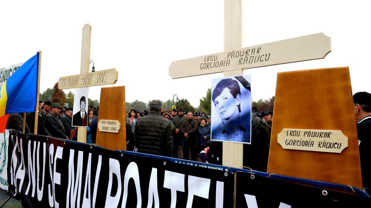 Pădurarii cer arme de la parlamentari