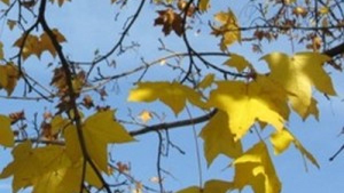 Veşti excelente de la meteorologi: Vreme deosebit de caldă în perioada 4 - 17 noiembrie