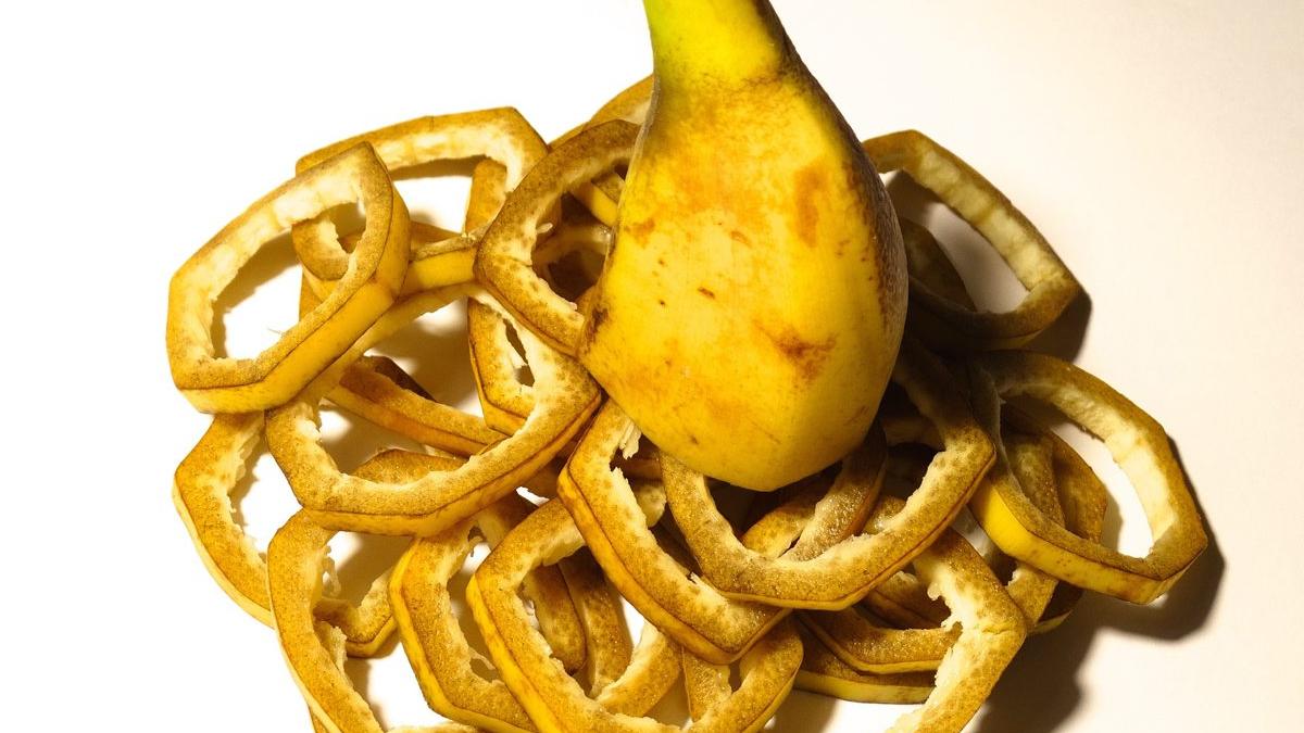 Îngrăşăminte naturale pentru flori şi legume