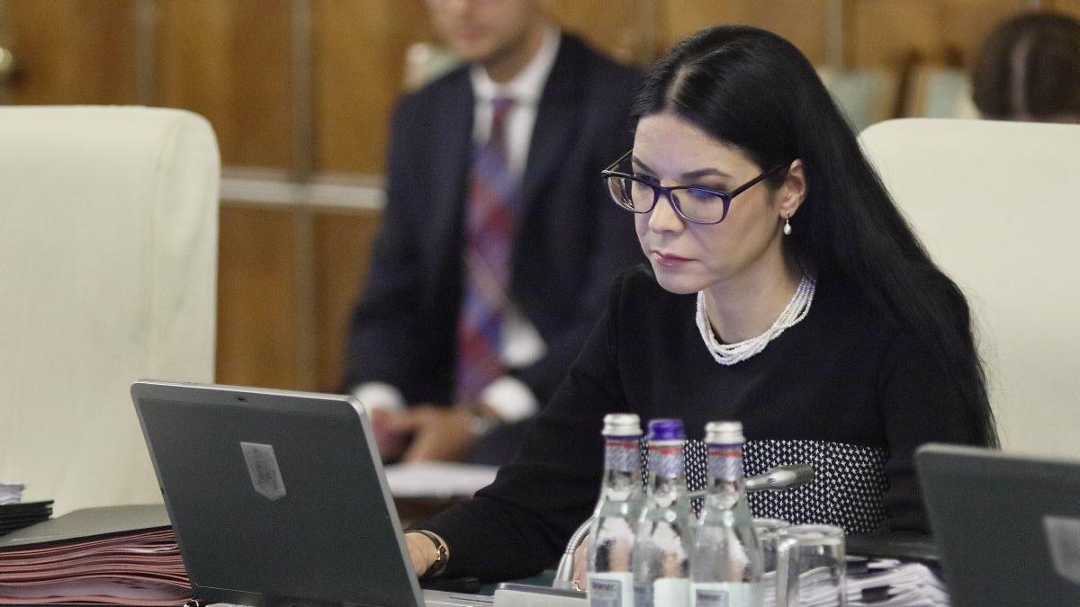 Ana Birchall, pusă la colț de judecători pentru atacurile pe care le-a concertat la adresa SIIJ