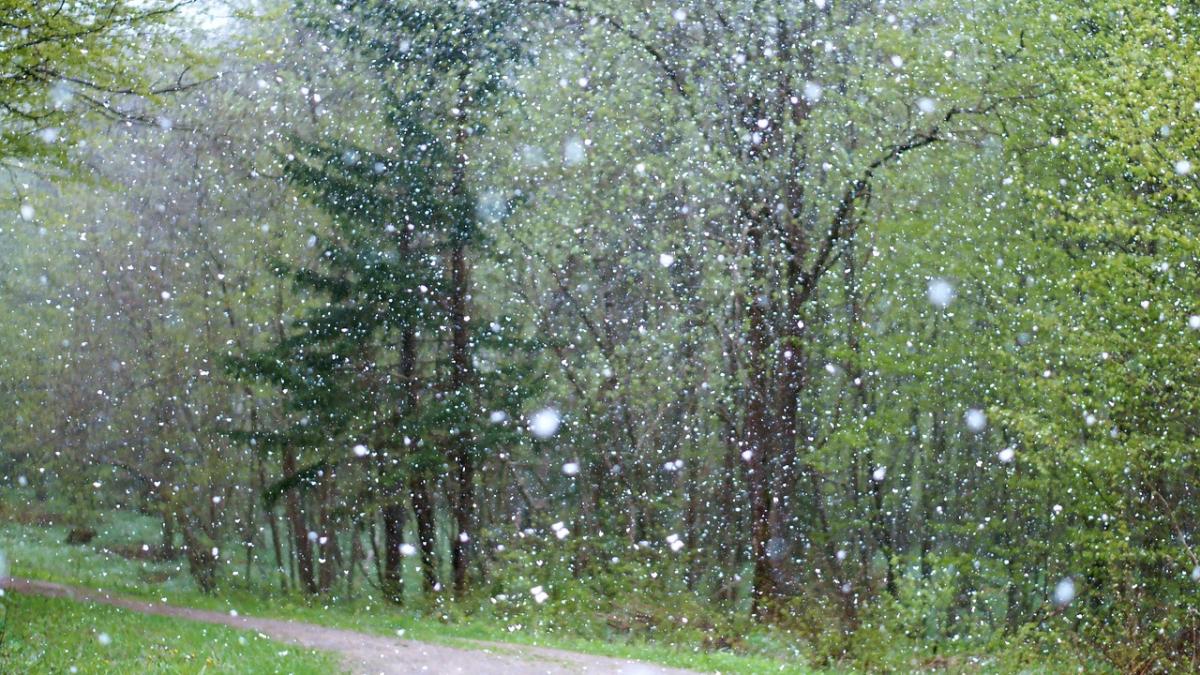 Răcire bruscă a vremii în Capitală: Meteorologii anunţă lapoviţă 