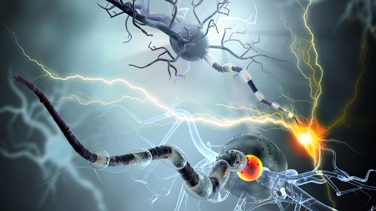 Neuronii afectaţi de accidentul vascular cerebral trebuie „treziţi” rapid