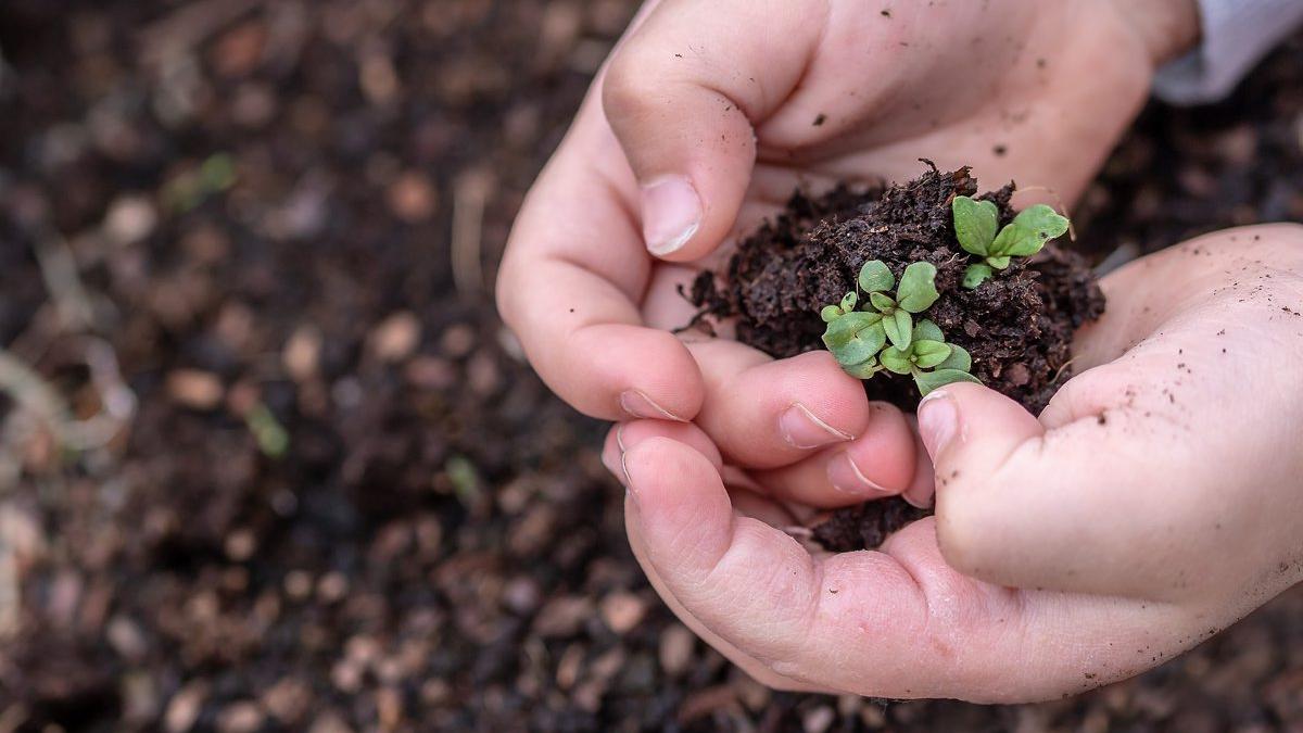 Banca de Resurse Genetice Vegetale caută fonduri şi posturi