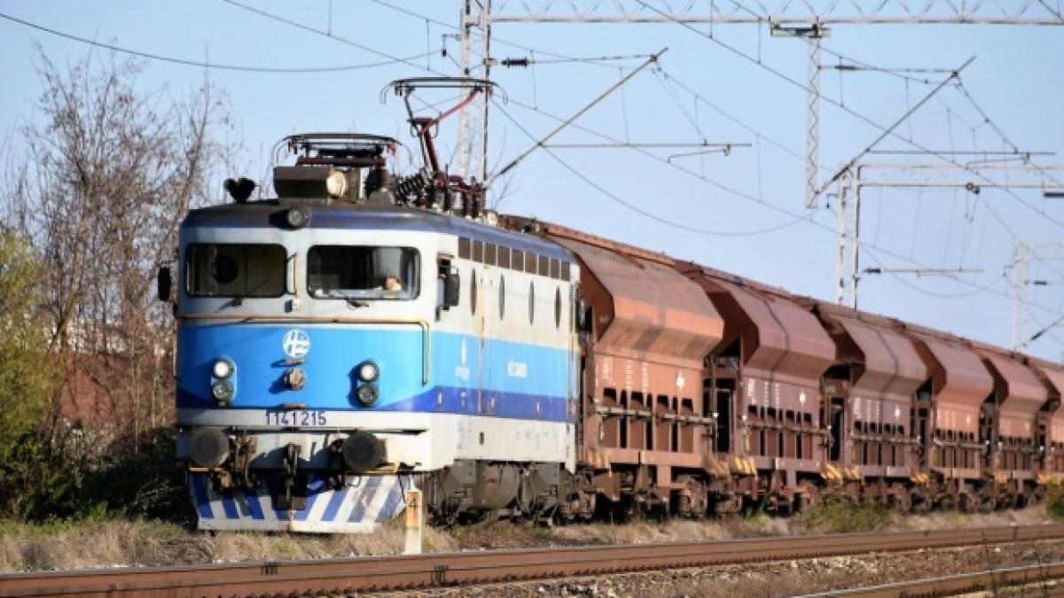 Trei azilanți algerieni au vrut să treacă ilegal frontiera cu Serbia