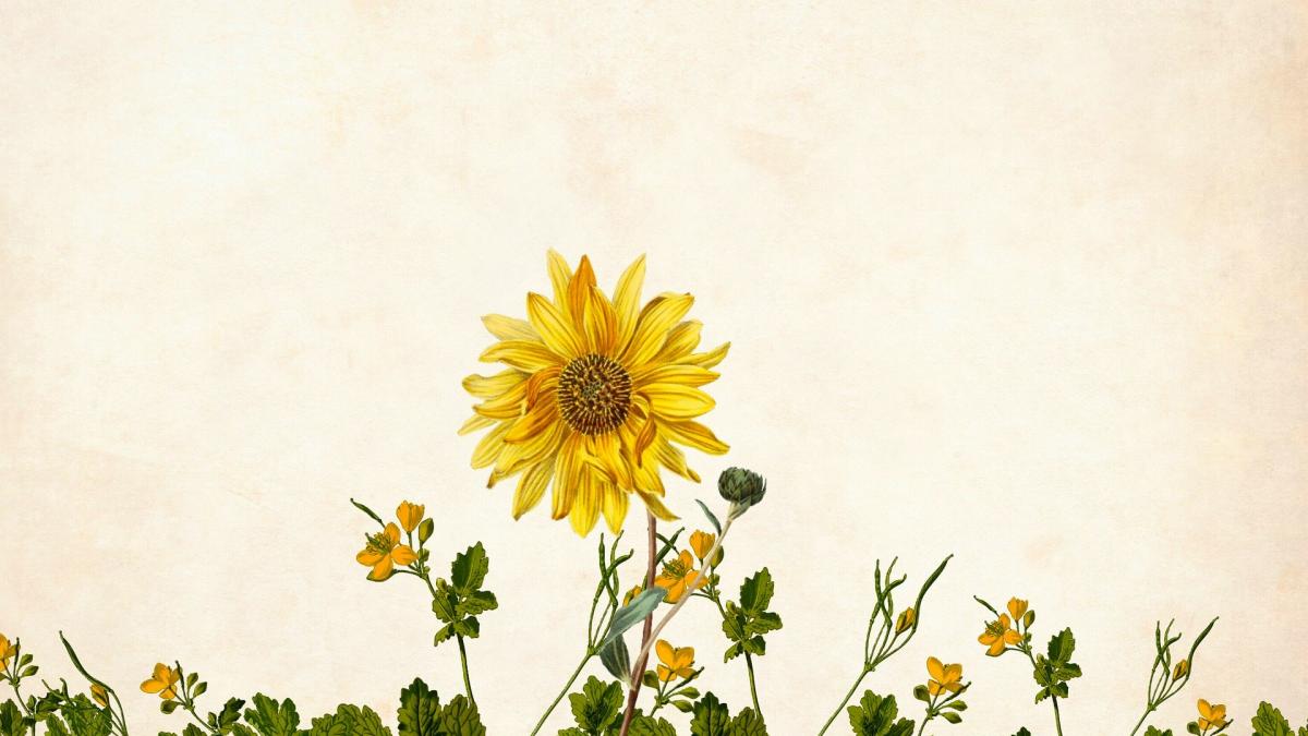 Horoscop 2020 - Balanță. Anul 2020 va fi caracterizat de creativitate