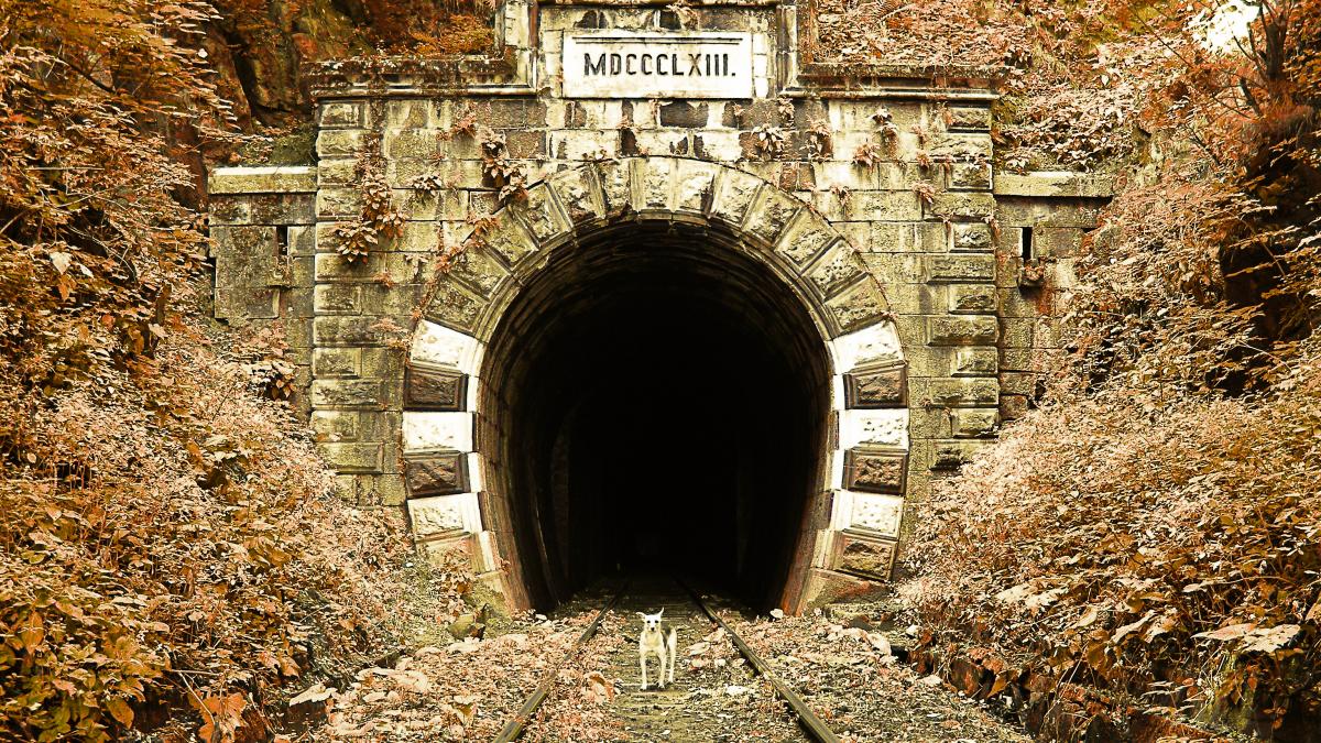 Excursie civică pentru salvarea liniei Oraviţa-Anina