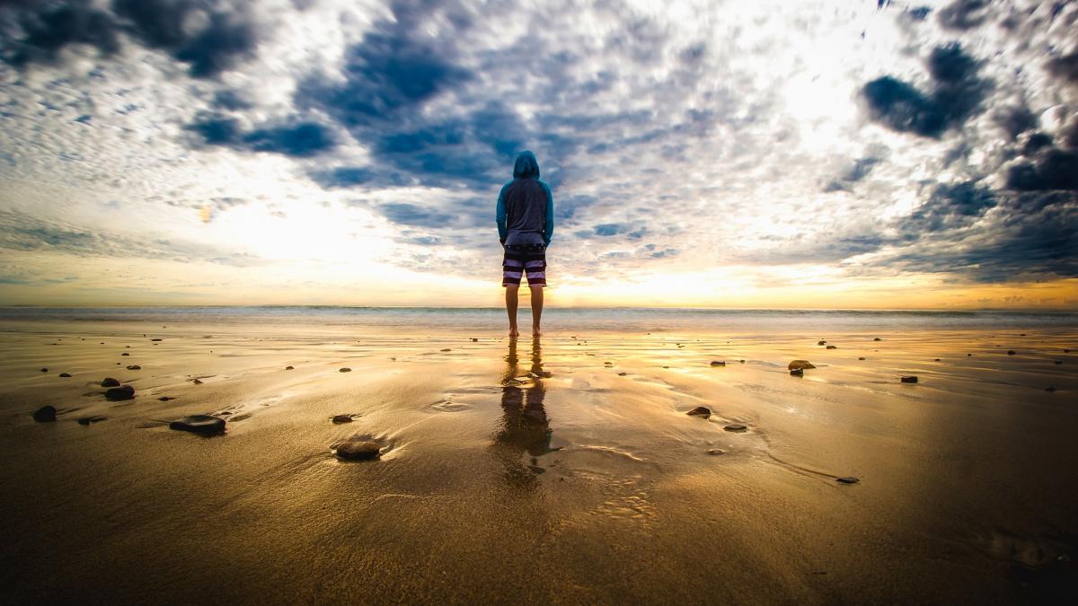 Mii de „peşti-penis” au eşuat pe o plajă din California