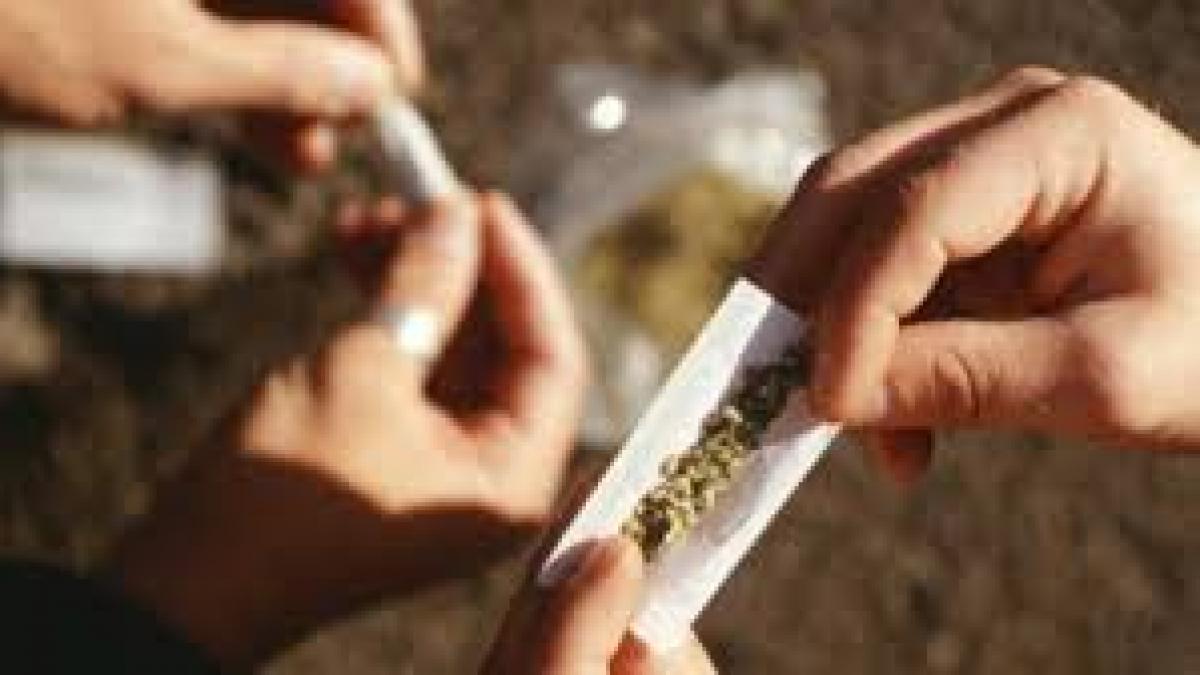 Un șofer român găsit cu sute de kilograme de cannabis în Franța