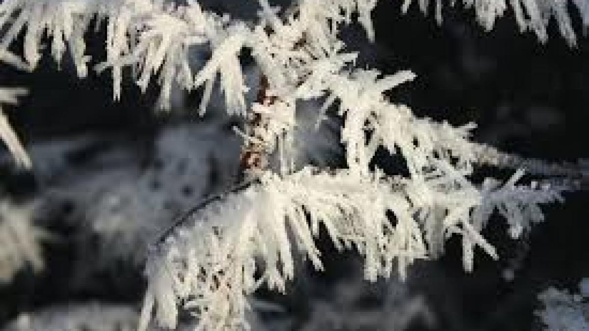 Prognoza METEO pentru 15, 16, 17 şi 18 ianuarie: Cer noros