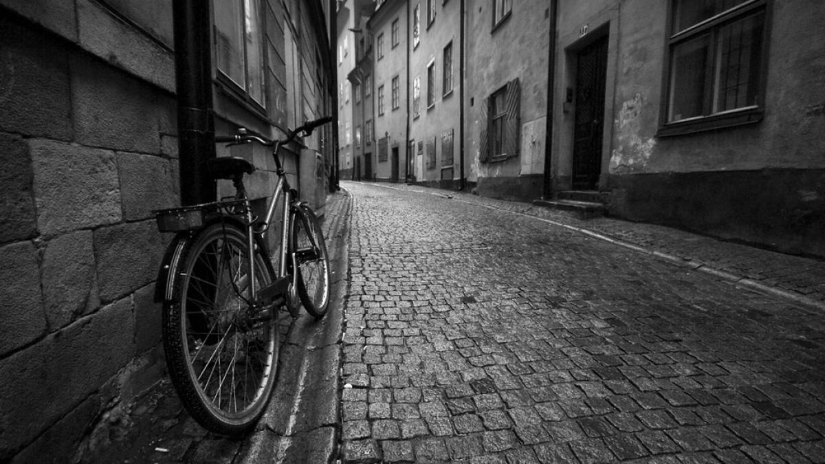 Hoț de biciclete, condamnat la trei ani de închisoare pentru „crime ecologice”