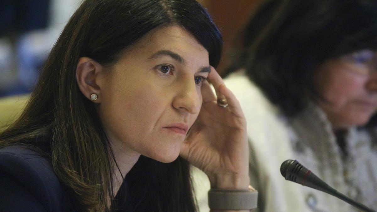 Violeta Alexandru, despre activitatea Inspecției Muncii: Inspectorii nu apără drepturile angajaţilor