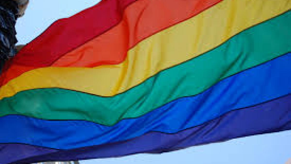 O jurnalistă rusă care a dat în vileag abuzurile împotriva homosexualilor în Cecenia, bătută într-un hotel din Groznâi