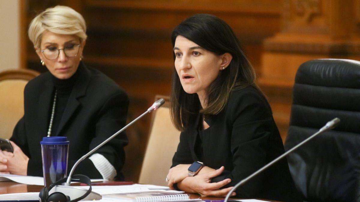 Violeta Alexandru: Am răsturnat modul în care se lucrează în Ministerul Muncii 