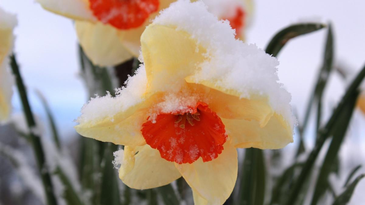 Prognoza METEO până pe 23 martie. Schimbări radicale