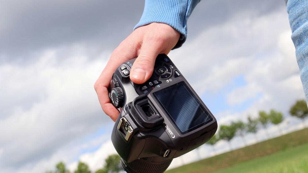 Concurs de fotografie din natură