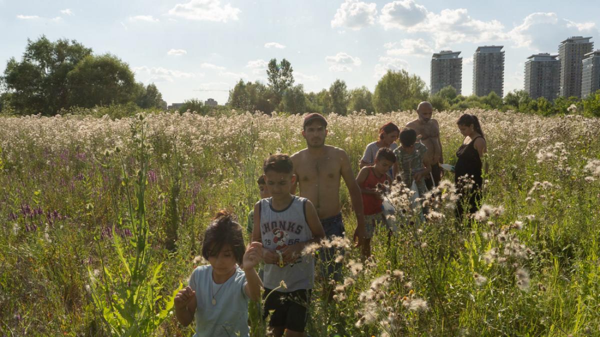 Cele mai bune documentare românești se văd la One World Romania 13