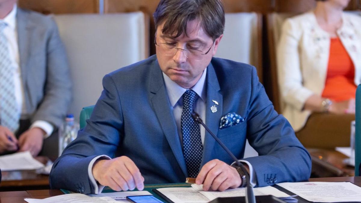Magnet liberal, pentru parlamentari ALDE