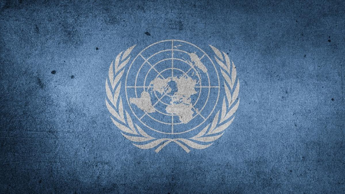 Teama de un posibil conflict între Rusia și Turcă bagă Consiliului de Securitate în ședință
