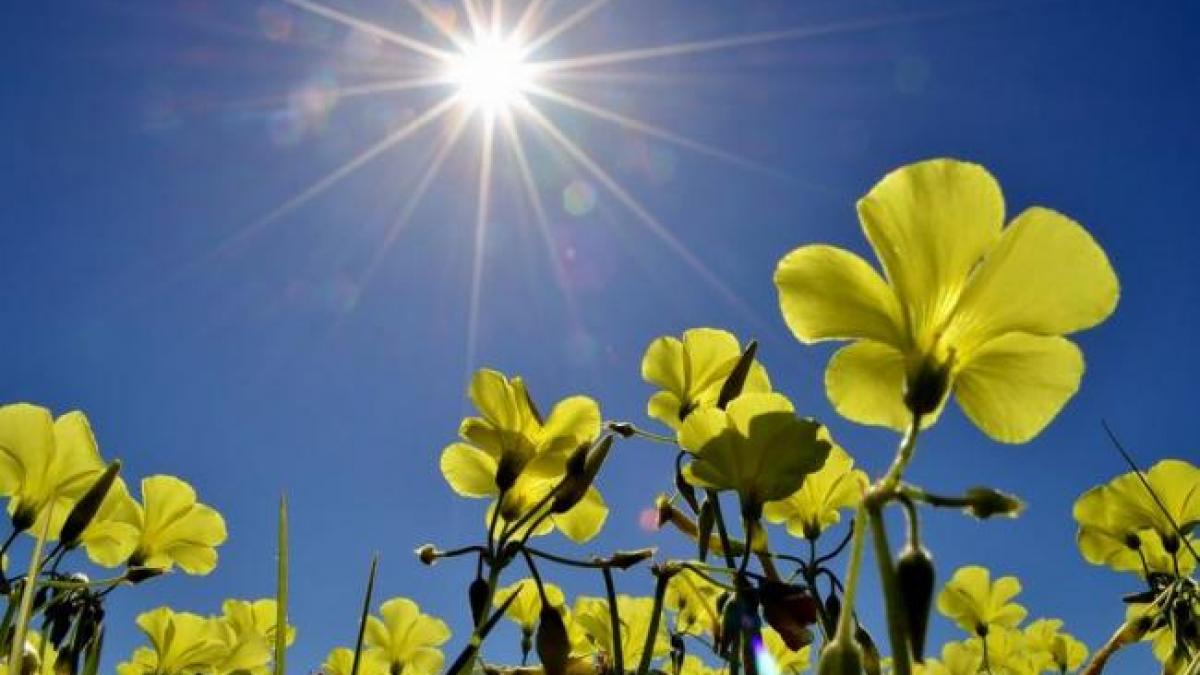 Surprize de la meteorologi: Vreme frumoasă și caldă în weekend