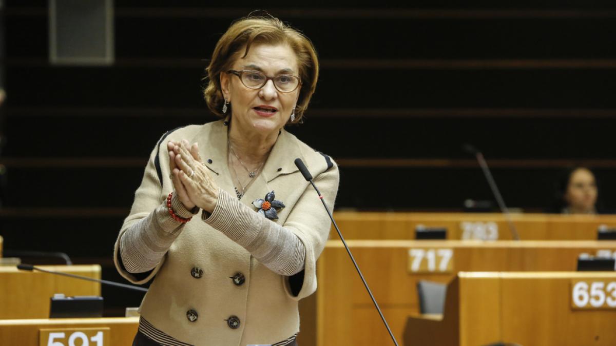 Europarlamentara Maria Grapini îi cere premierului să ia măsuri pentru oprirea tăierilor de păduri
