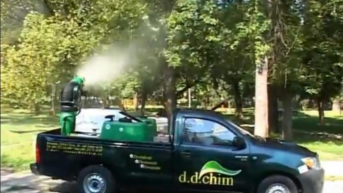 Afacere cu dezinsecție în „parohia” lui Iohannis. Rețeta succesului: intoxici la Arad, ești premiat la Sibiu