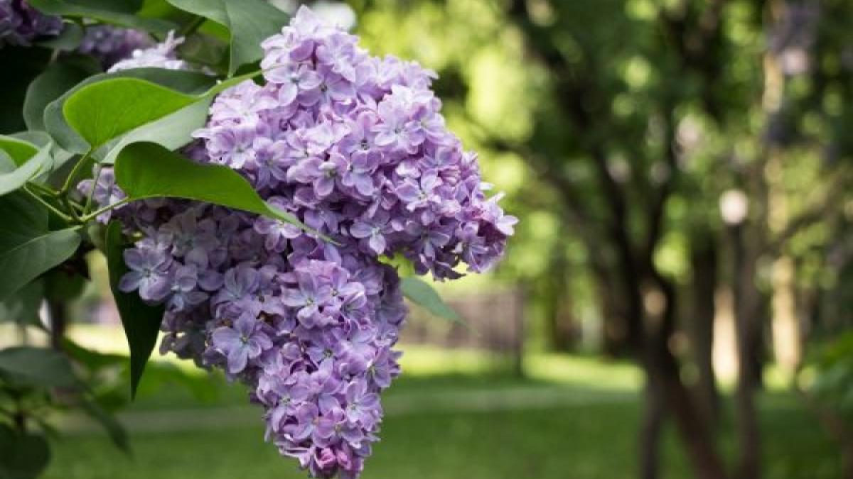 Prognoza METEO pentru 13, 14, 15 și 16 aprilie 2020: Cer senin