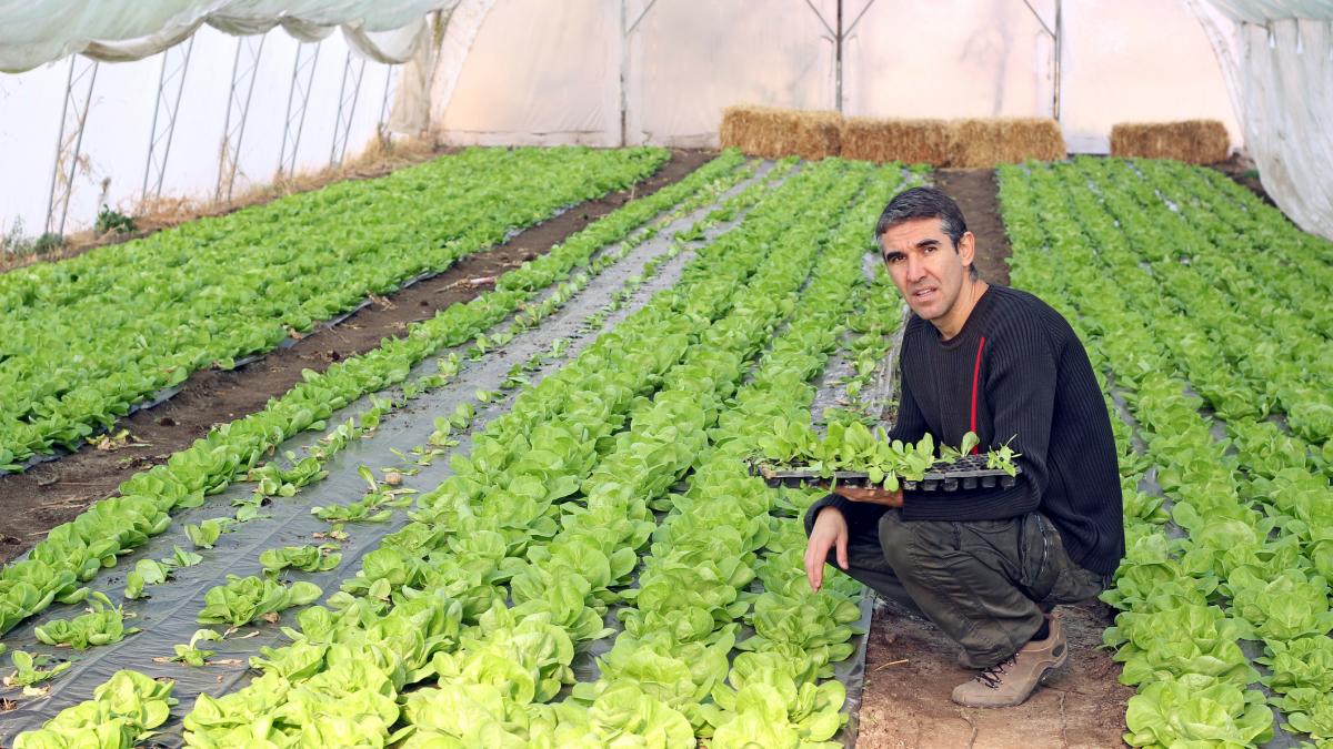 Fermierii români reușesc să își țină oamenii aproape cu salarii ca în Vest: Eu îmi respect angajații