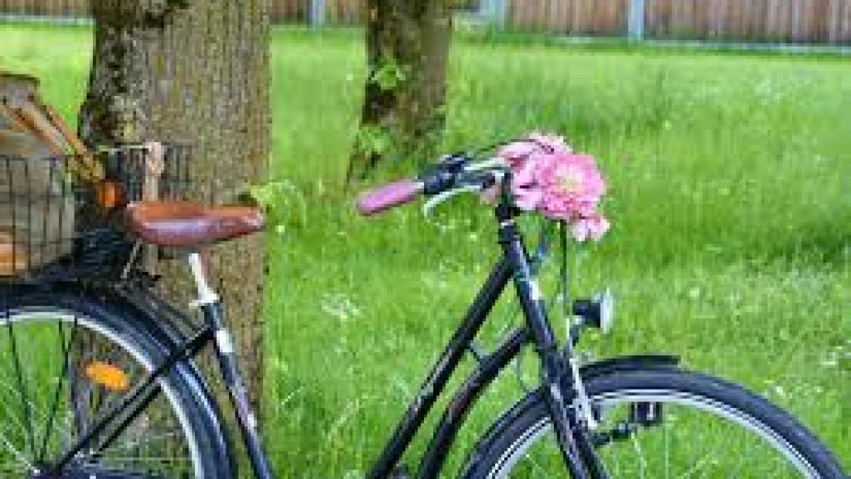 Franța încurajează folosirea bicicletei, cu 20 de milioane de euro