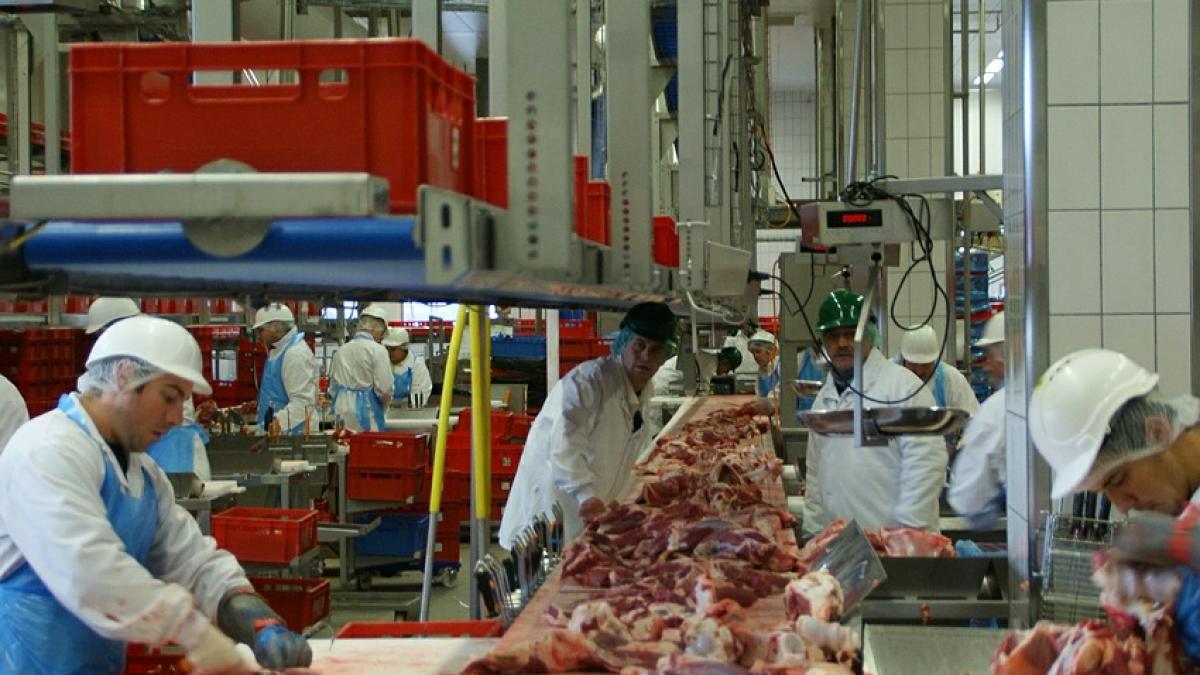 Cel puțin 150 muncitori români care lucrează la un abator din Germania, infectați cu coronavirus