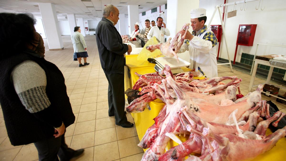 21 de tone de carne infestată cu Salmonella, din Polonia, reținute de ANSVSA