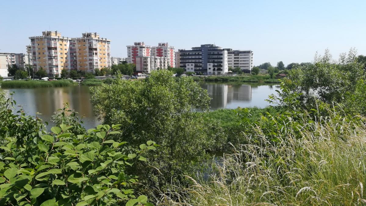 Proiect de lege: natură în inima oraşului