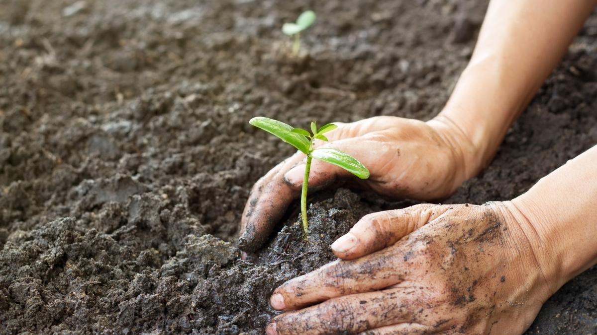 Strategia UE 2030: noul pact cu natura