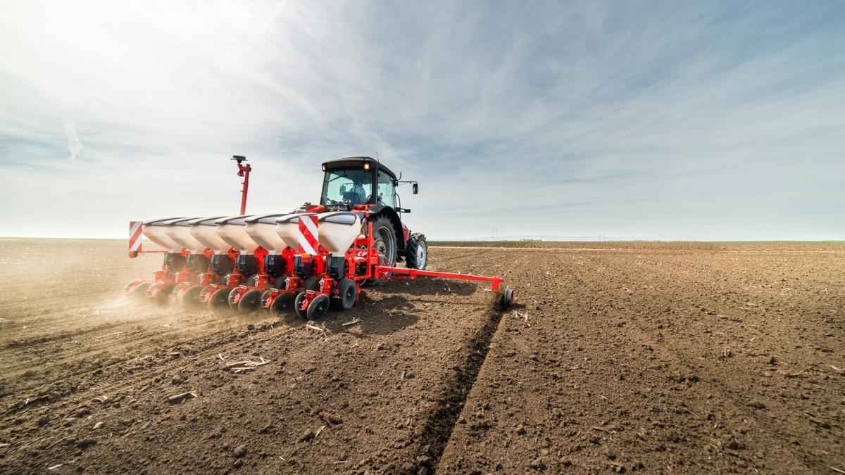 Seceta se extinde. 1,3 milioane de hectare afectate
