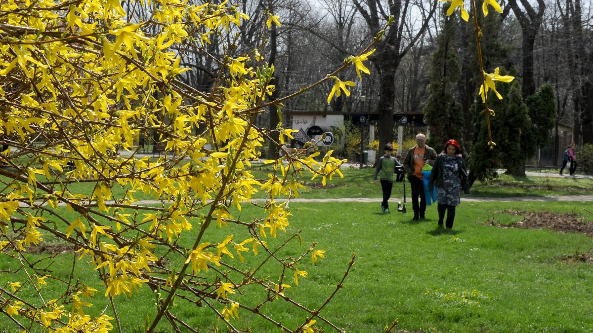 Prognoza METEO pentru 9, 10, 11 și 12 iunie: Cer senin