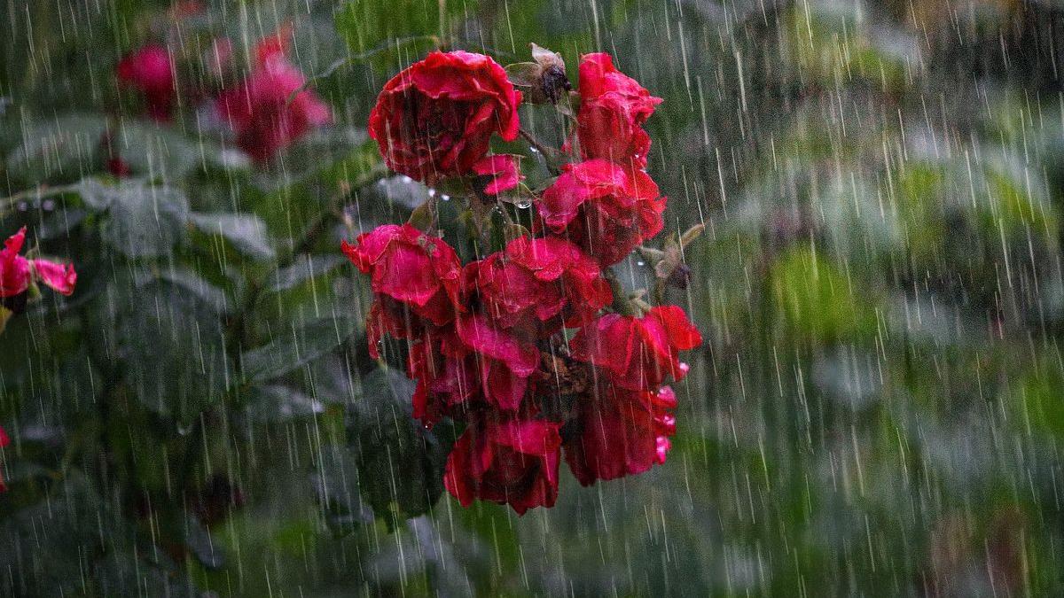 Vremea se schimbă radical. Prognoza METEO pentru următoarele două săptămâni