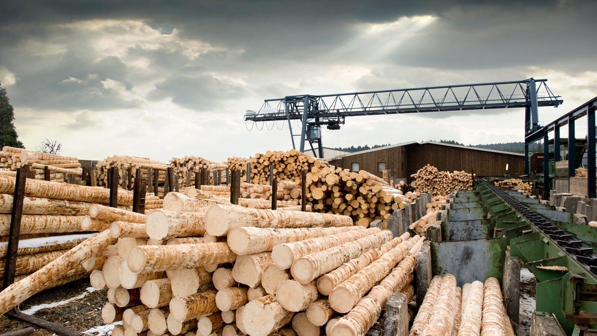 Sprijin de 200 milioane euro din fonduri europene pentru industria lemnului