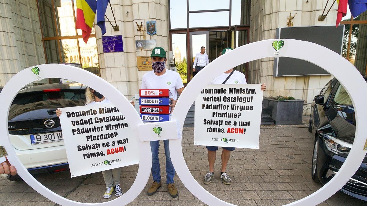 Protest pentru protecţia pădurilor virgine