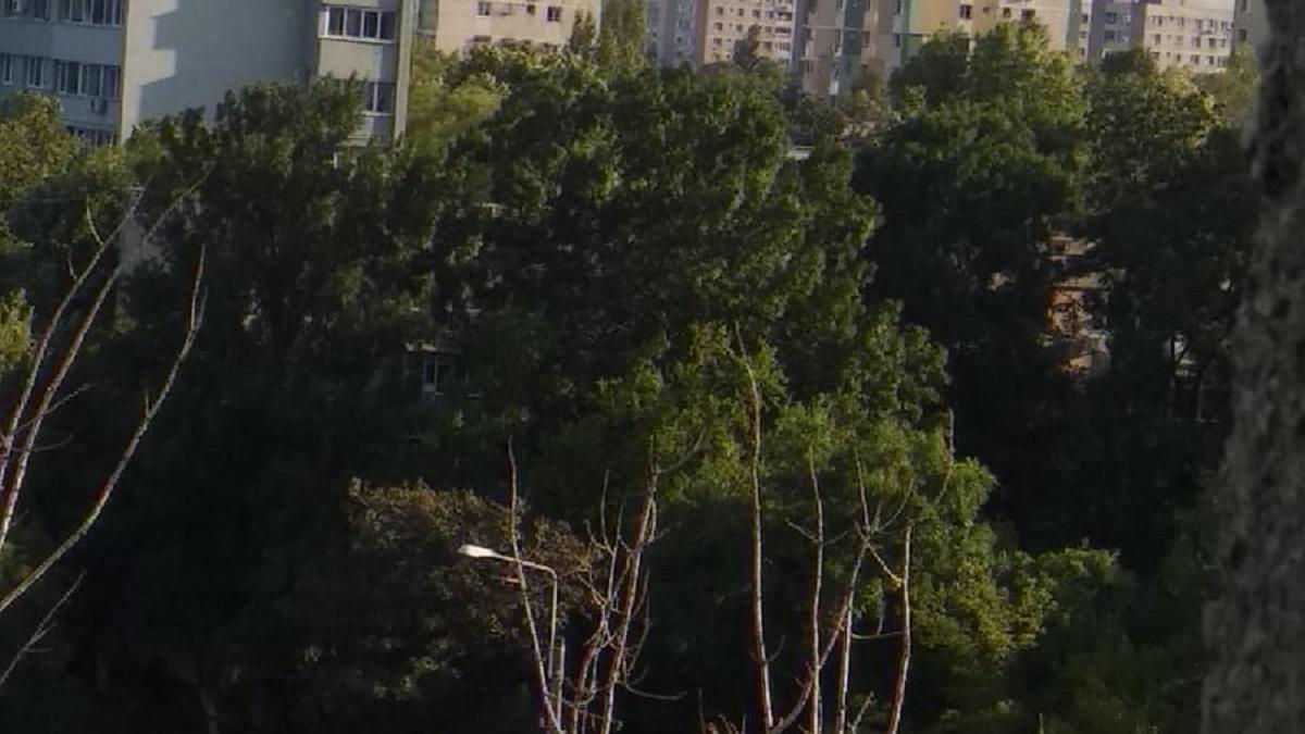 Incendiu de vegetație în Capitală: Opt autospeciale de stingere, la fața locului