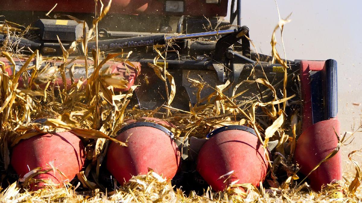 România capitulează în faţa invaziei de mâncare: importurile agroalimentare doboară record după record