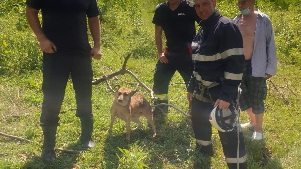 Câine salvat de pompieri dintr-o fântână adâncă de 12 metri