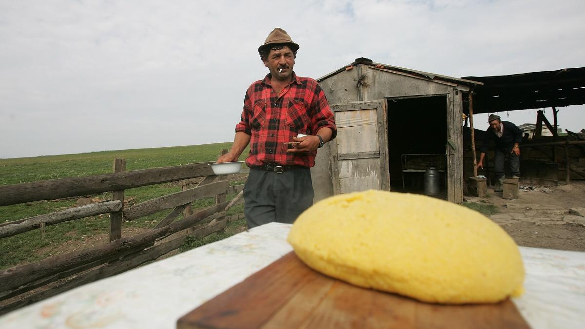 Harta foametei. Masa consistentă, un lux pentru 16% din români